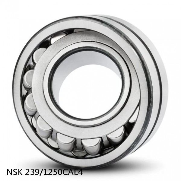239/1250CAE4 NSK Spherical Roller Bearing #1 small image