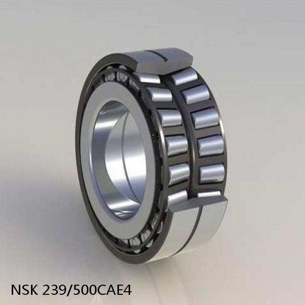 239/500CAE4 NSK Spherical Roller Bearing #1 image
