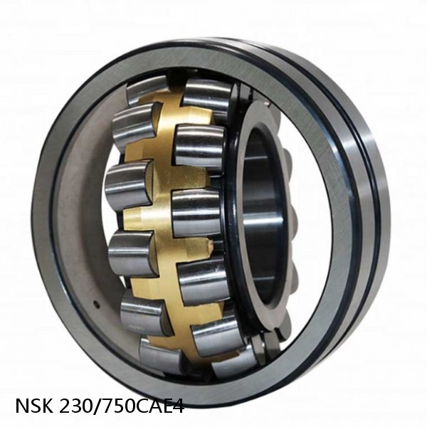 230/750CAE4 NSK Spherical Roller Bearing #1 image